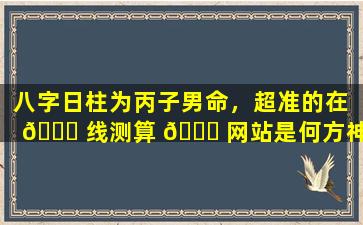 八字日柱为丙子男命，超准的在 🐎 线测算 💐 网站是何方神圣